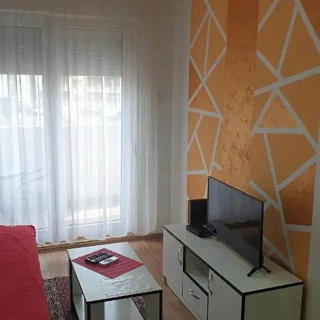 Apartament Borko 2-1 *