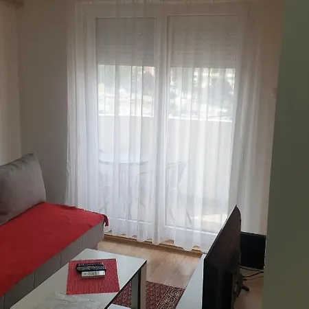 Borko 2-1 Apartament Loznica